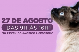 Bistek promove 1º Encontro Entre Aumigos, com feira de adoção, em Criciúma